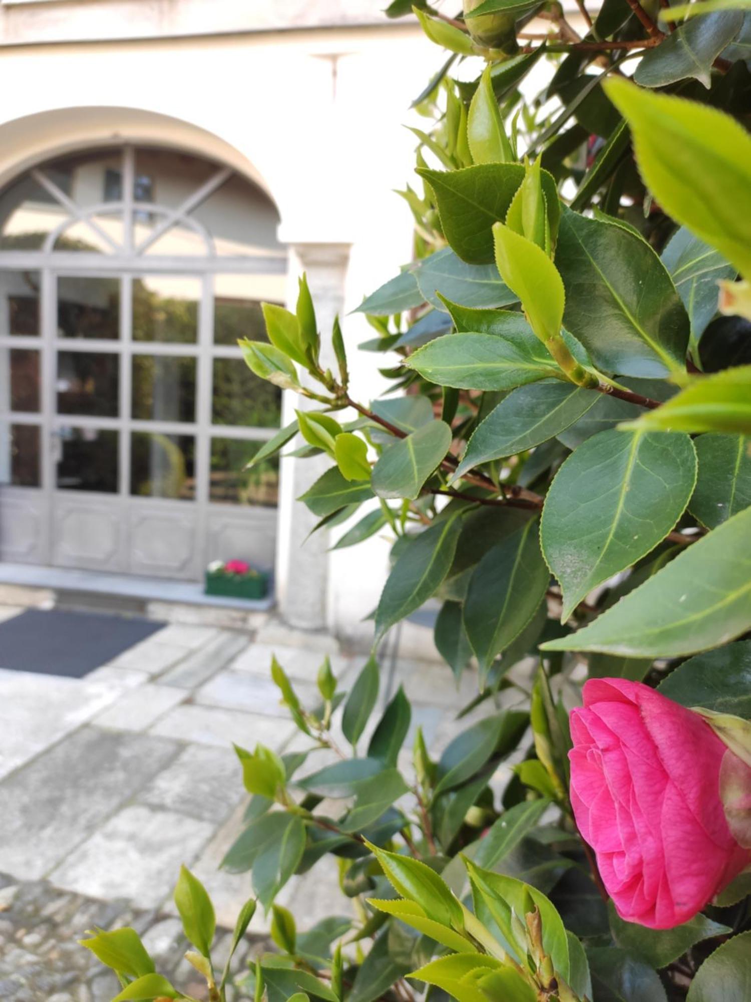 Casa Cannobio Exterior photo